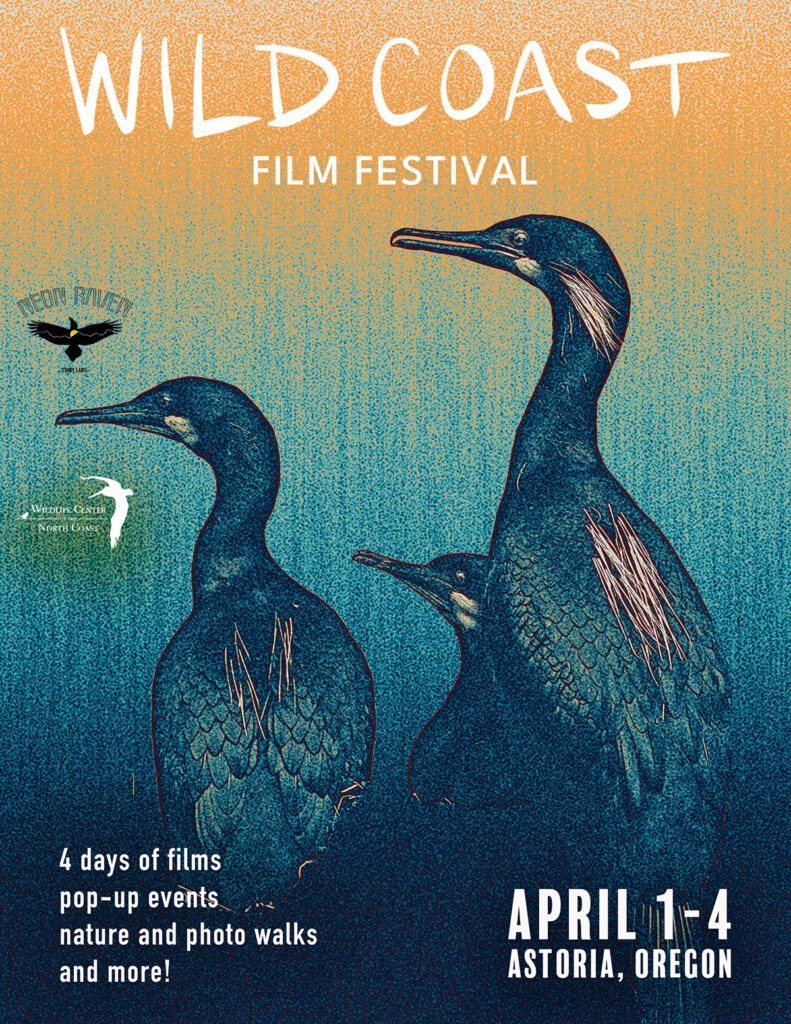Wild Coast Film Festival 2027 poster